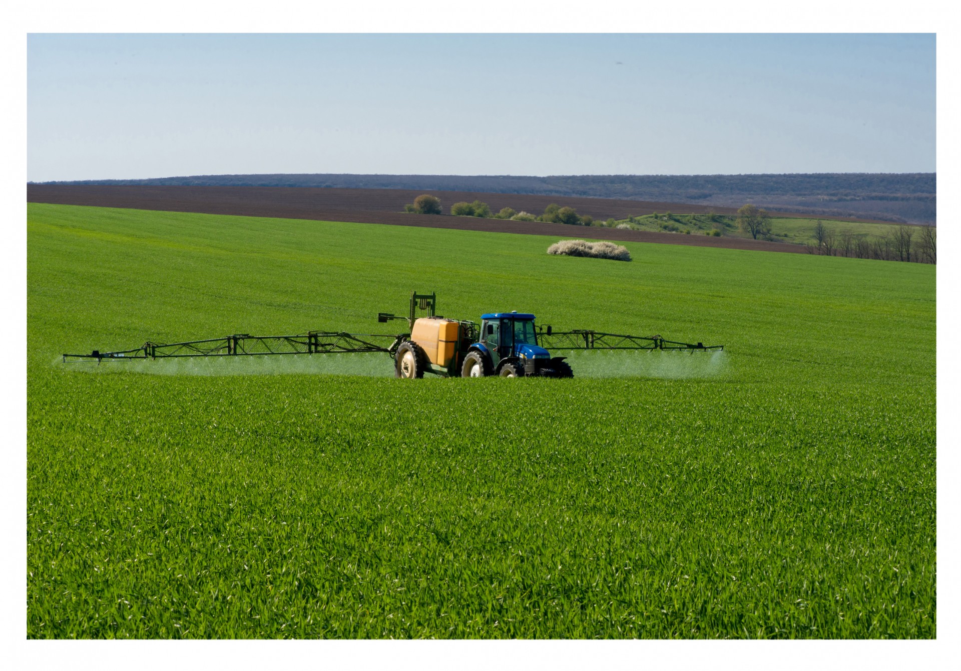 Tractor spraying pesticide in a field of wheat